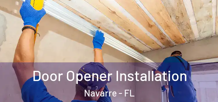 Door Opener Installation Navarre - FL